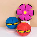 Flying Saucer Ball Dog Toy