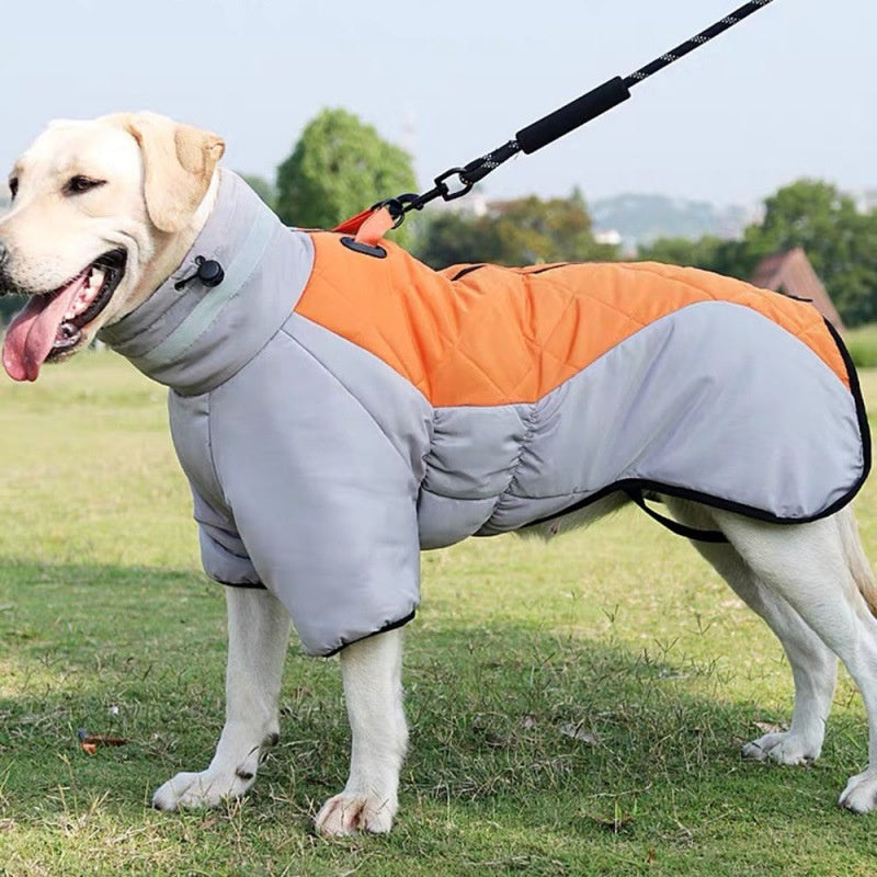 New Winter Pet Thickened Cotton Coat